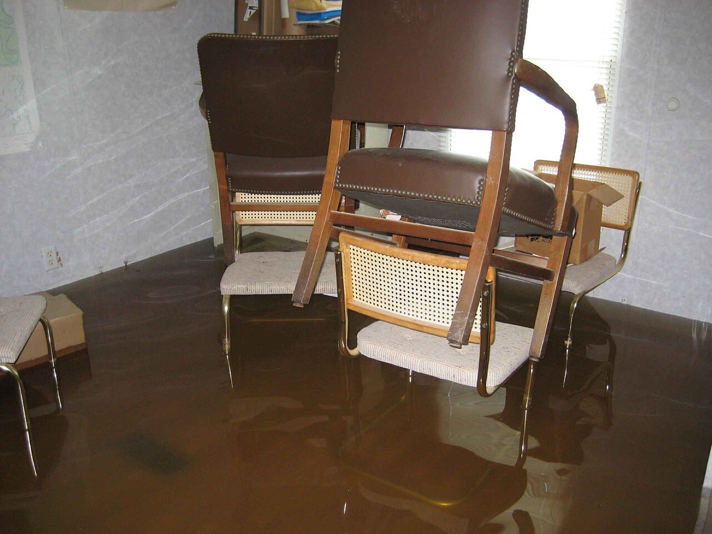 A room with standing water, furniture, and walls all in view