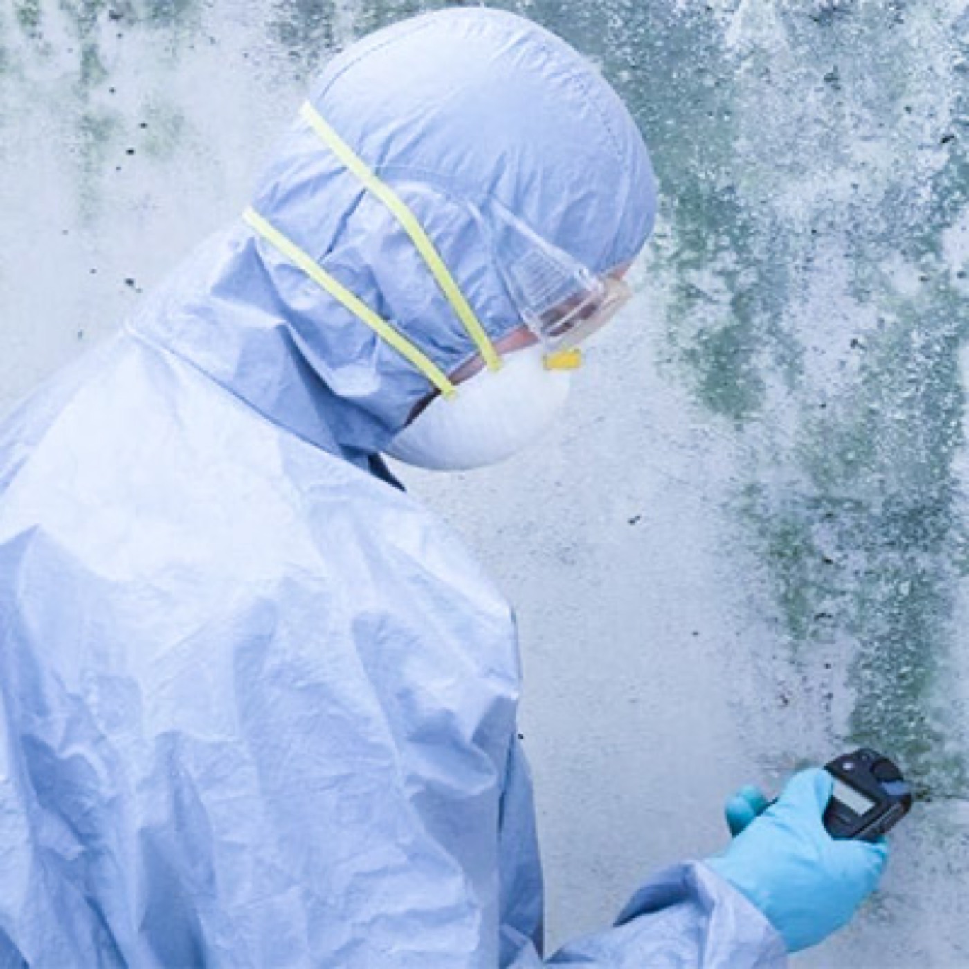 A technician in full view checking mold on a wall