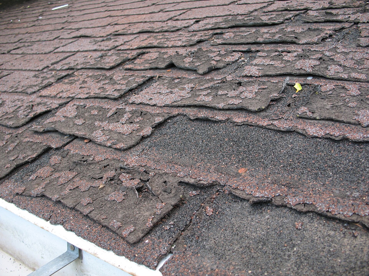 Shingles worn through to the roof deck