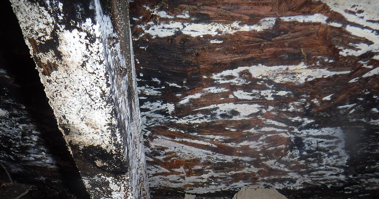 Rotted wood under a floor